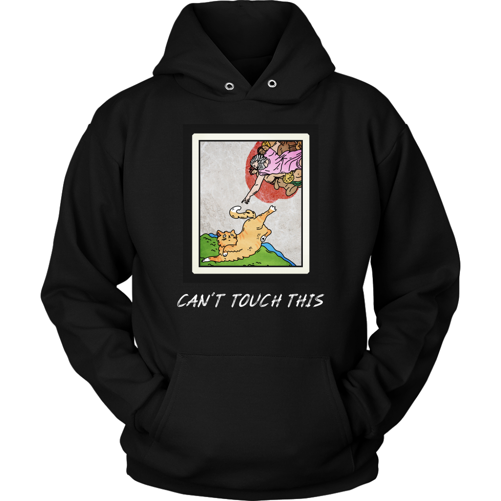 Can't Touch This Hoodie