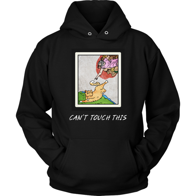 Can't Touch This Hoodie Hover Image